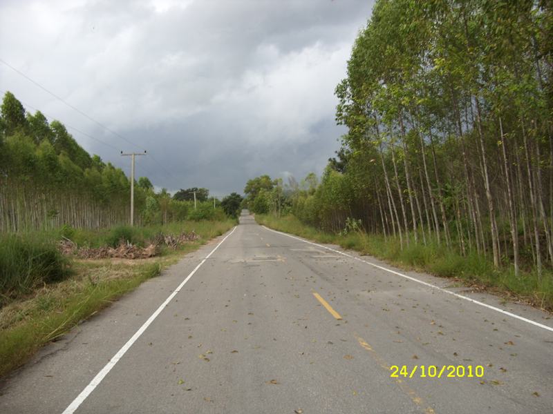 SDC10021.JPG