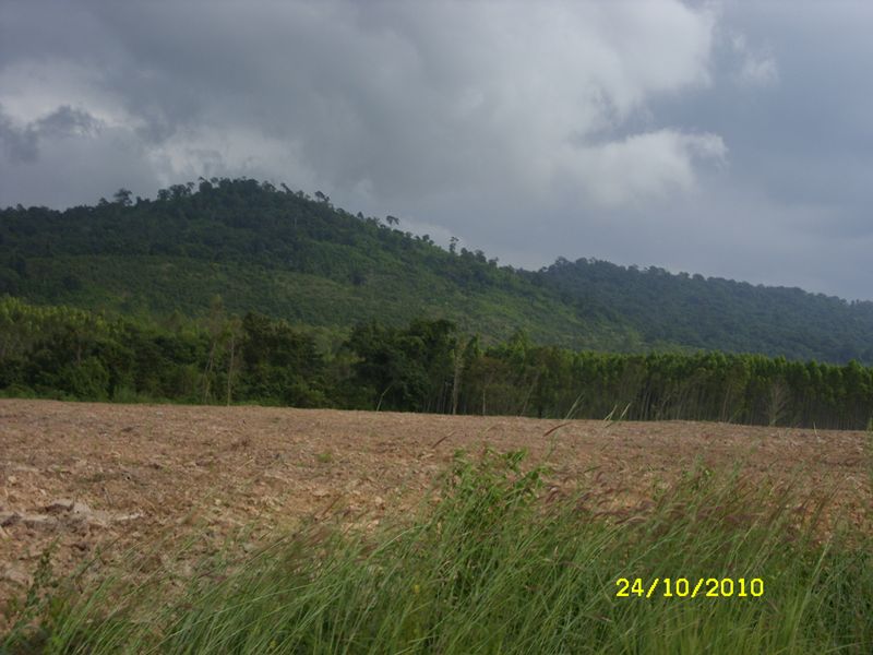 SDC10023.JPG