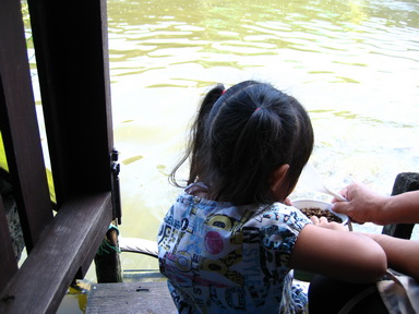 IMG_0834_resize.JPG