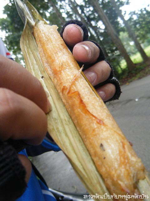 E006.jpg