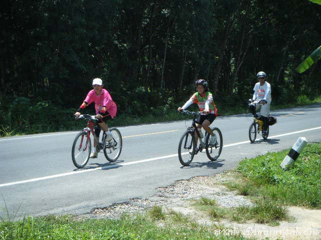 O010.jpg
