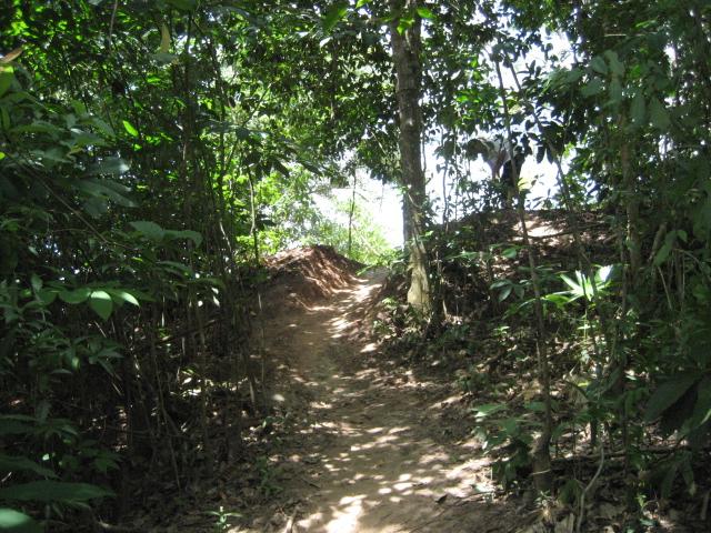 IMG_0585 (Small).JPG