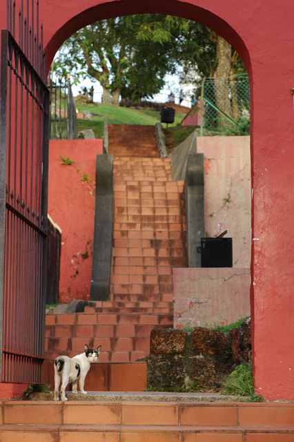 DSC_9906.JPG