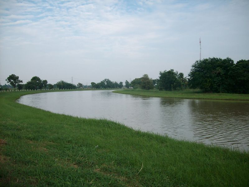 SANY4463.jpg