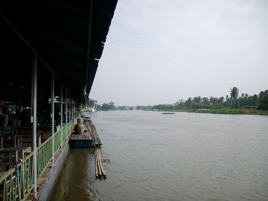 SANY4511.jpg
