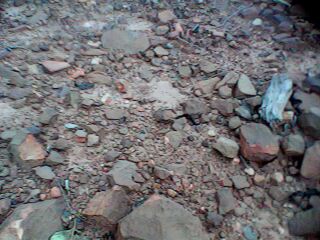 IMG0354A.jpg