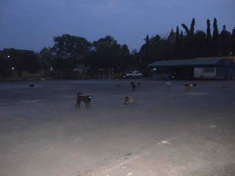 DSCF1421.JPG