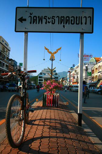 IMG_8384.jpg