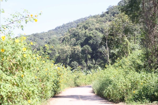 http://www.lovemtb.com/index.php?mo=12&amp;catid=163989