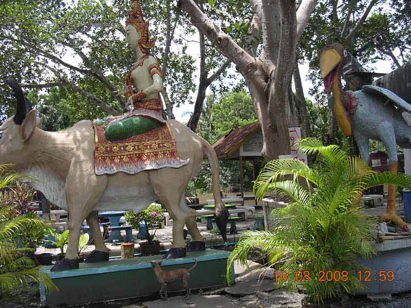 DSCN2378.jpg