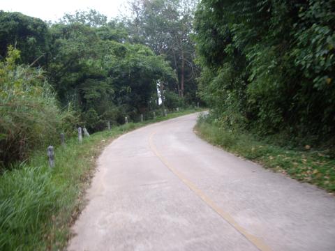 IMGP8324.JPG