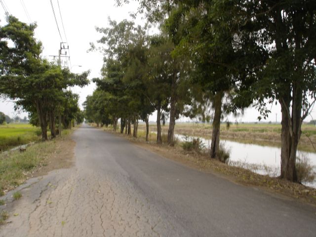 DSC02874.JPG