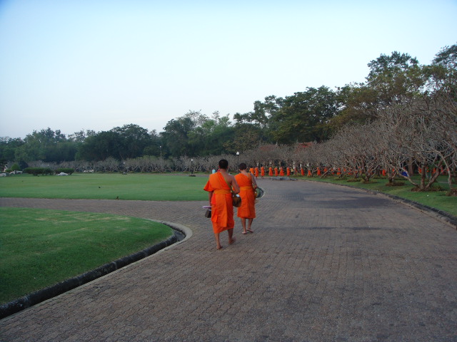 DSC08003.JPG