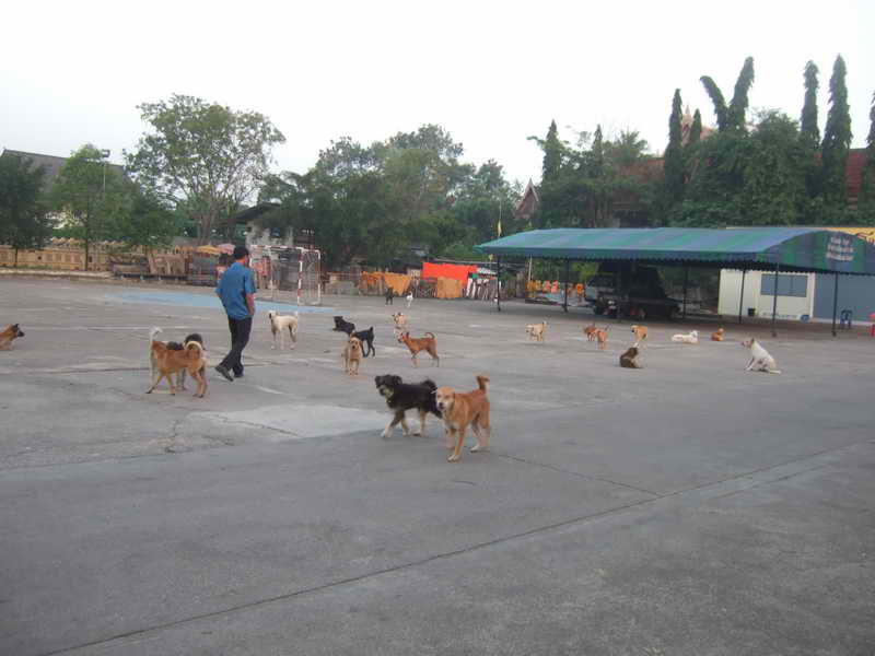 DSCF2710.JPG