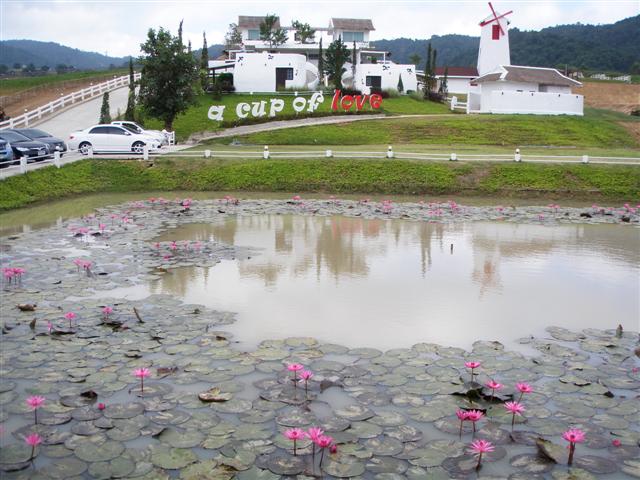 PB141150 (Small).JPG