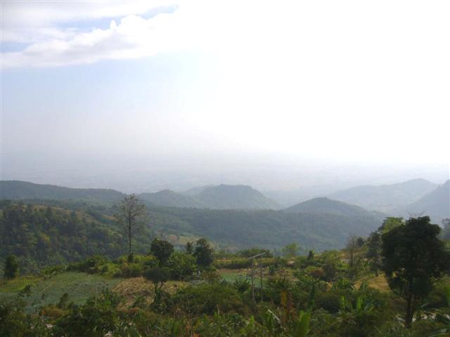P1100495.JPG