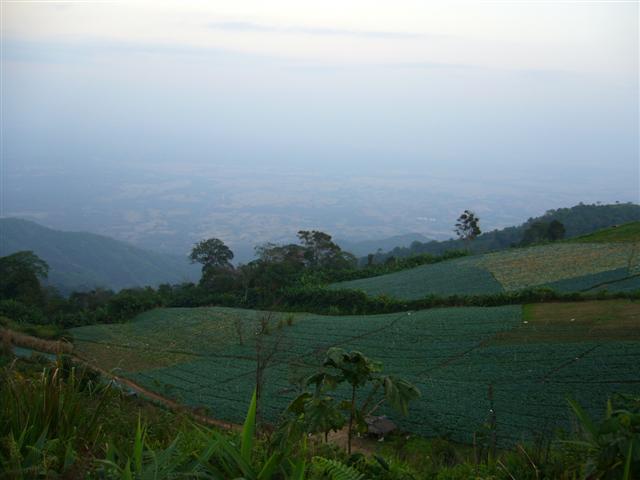 P1100711.JPG