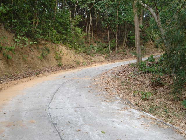 DSC03257x.jpg
