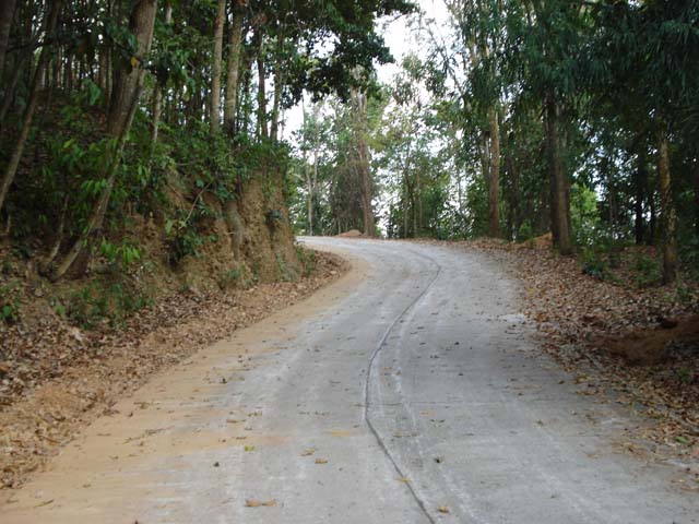 DSC03258x.jpg