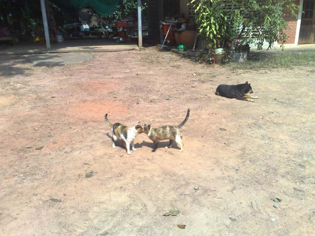 101220103280.jpg