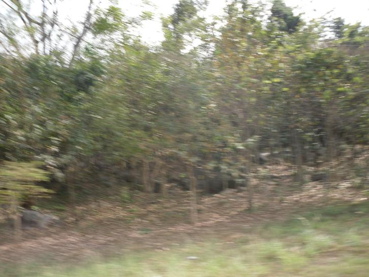 r238.JPG
