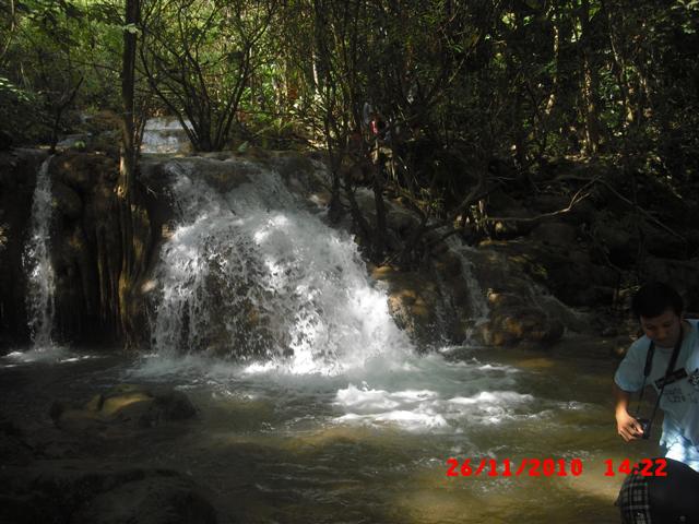 CIMG9565 (Small).JPG