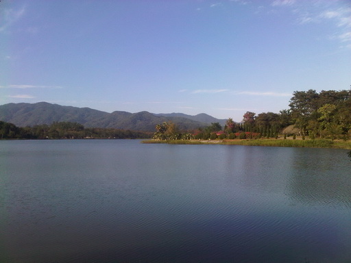 บรรยากาศดีครับ