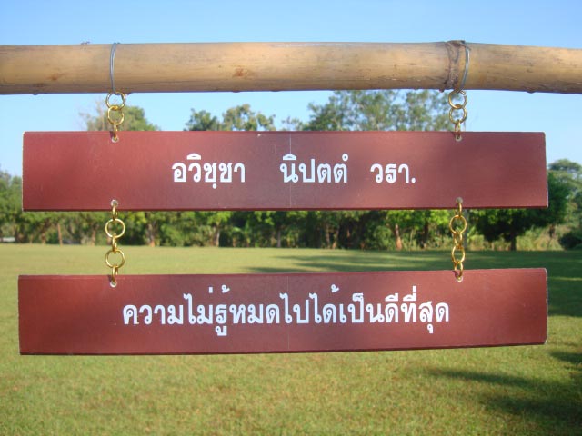DSC07149.jpg
