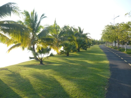P1100617.JPG
