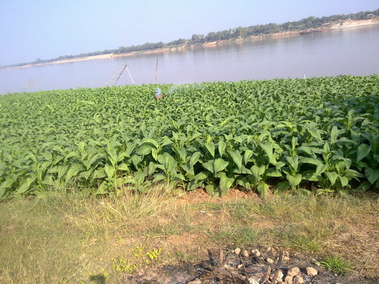 010120111768_resize.jpg