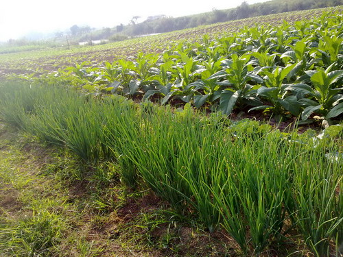 010120111829_resize.jpg