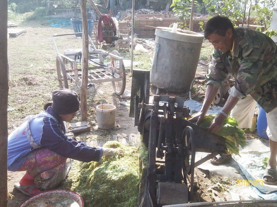 03-01-11-085957_resize.jpg