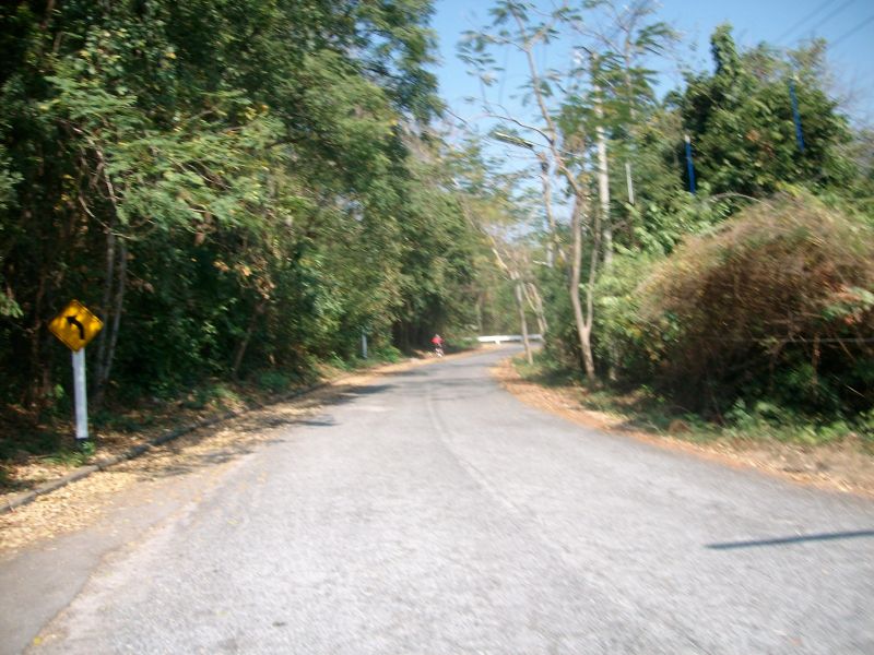 SANY5578.jpg