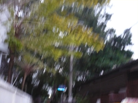 P1100805.JPG