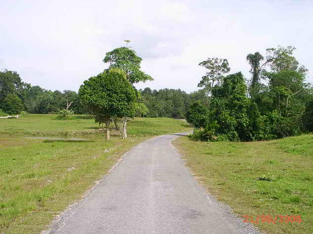 PIC_0075.JPG