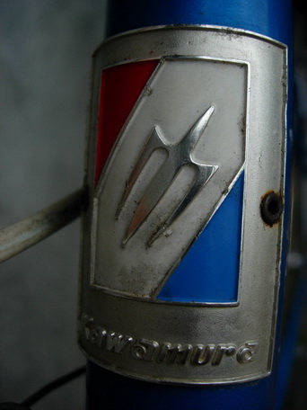 DSCN7378_resize.jpg