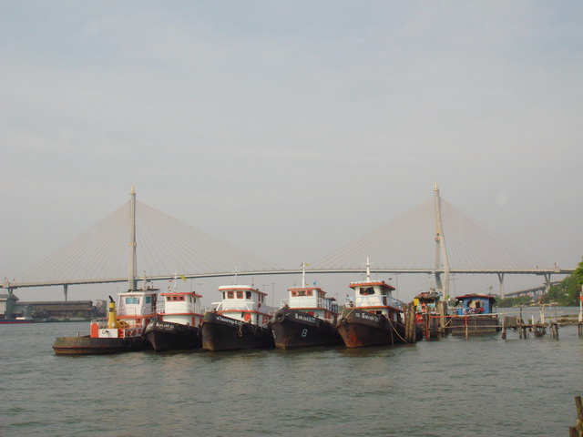 DSC08049.jpg