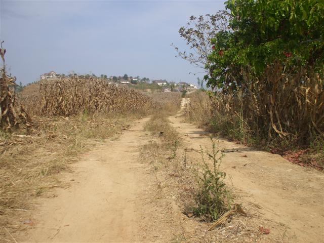 DSCF0228 (Small).JPG