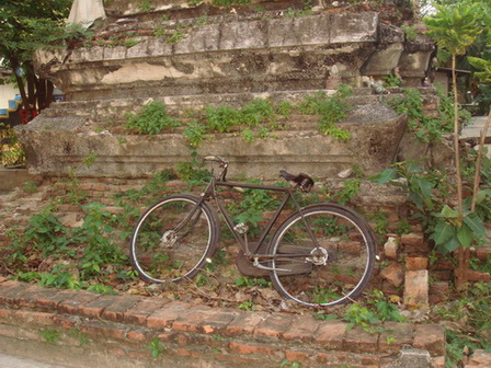 DSC08112.jpg
