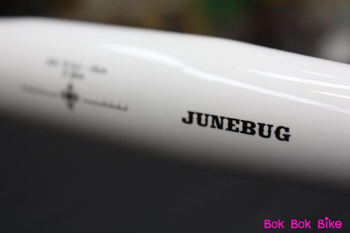Junebug-005.jpg