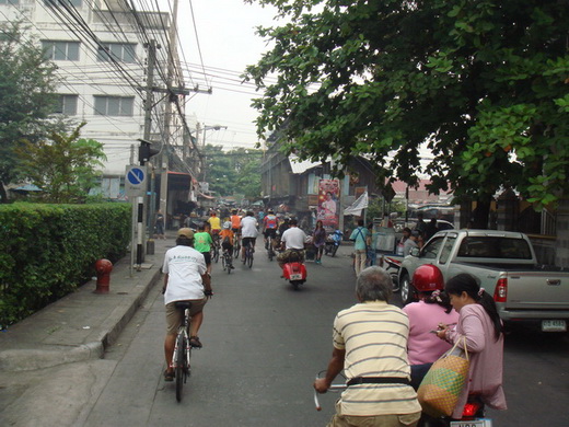 DSC08478.jpg