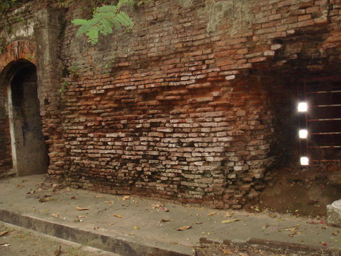 DSC08491.jpg