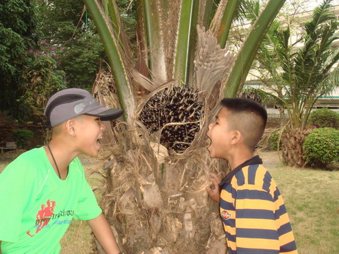 DSC08500.jpg