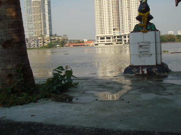 DSC08537.jpg