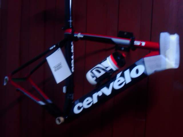 IMAG0273.jpg