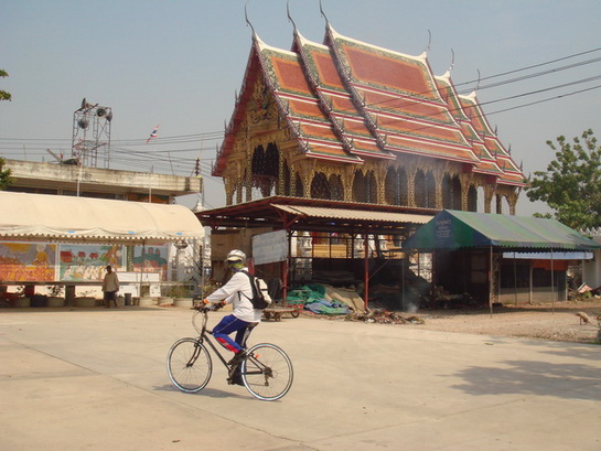 DSC08808.jpg