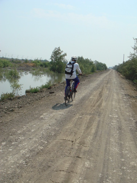 DSC08827.jpg