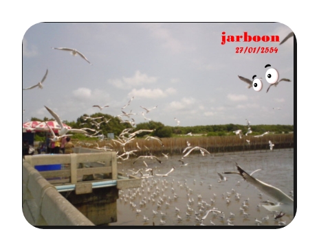 jarboon