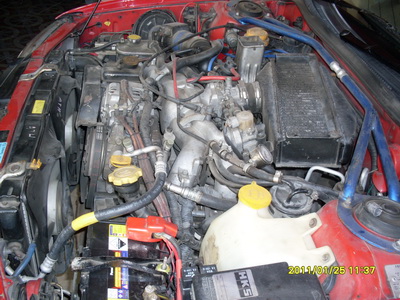 SDC10264.jpg
