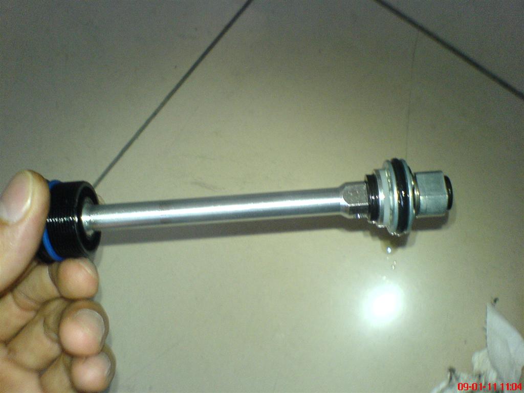 ซีลสีฟ้า.JPG
